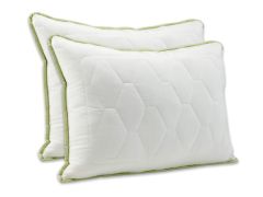 2x Dormeo perna clasica Aloe Vera JC5 50x70 cm