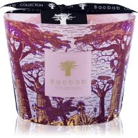 Baobab Collection Sacred Trees Massasso aроматична свічка 500 гр