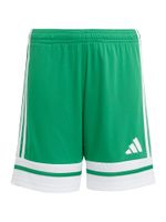 ADIDAS PERFORMANCE Sportske hlače  zelena / bijela