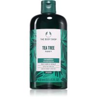 The Body Shop Tea Tree Shampoo das Reinigungsshampoo für fettiges Haar 200 ml