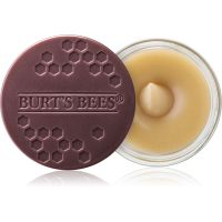 Burt’s Bees Lip Scrub piling za ustnice s hranilnim učinkom 7.08 g