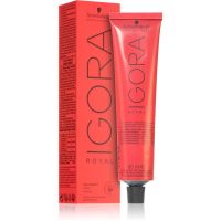 Schwarzkopf Professional IGORA Royal barva za lase odtenek 9-19 Extra LIght Blonde 60 ml