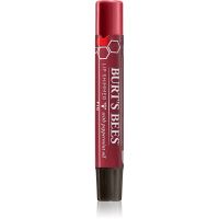 Burt’s Bees Lip Shimmer блиск для губ відтінок Fig 2.6 гр
