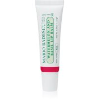 Mario Badescu Watermelon and Basil Lip Balm nawilżający balsam do ust 10 g