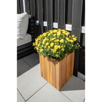 Prestige Home TRUHLÍK NA KVETY drevo, 30/30/35 cm