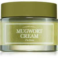 I'm from Mugwort Cream regeneračný a upokojujúci krém s hydratačným účinkom 50 g