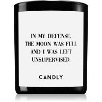 Candly & Co. In my defense vonná sviečka 250 g