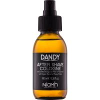 DANDY After Shave voda za po britju 100 ml