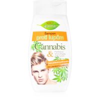 Bione Cosmetics Cannabis szampon przeciwłupieżowy dla mężczyzn 260 ml