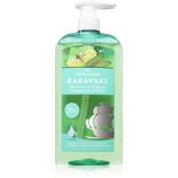PAPOUTSANIS Karavaki Control & Detox Shampoo für fettige und trockene Kopfhaut 600 ml