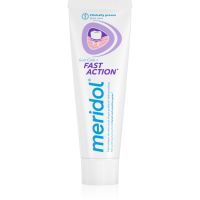 Meridol Fast Action Igemeid kaitsev hambapasta tundlikele hammastele 75 ml