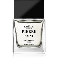 SANTINI Cosmetic Pierre Saint Eau de Parfum unisex 50 μλ