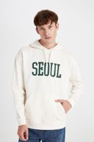 DEFACTO Boxy Fit Hooded Pocket Printed Sweatshirt