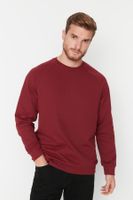 Herren T - Shirt langarm Trendyol Raglan