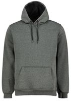 Men's sweatshirt Aliatic