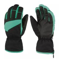 Ski gloves Eska Mykel