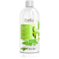 Delia Cosmetics Micellar Water Green Tea osviežujúca čistiaca micelárna voda 500 ml