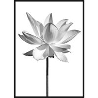 Monee UMELECKÁ TLAČ, kvety, 51,2/71,2 cm