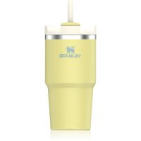 Stanley Quencher H2.O FlowState™ Tumbler lonček iz nerjavečega jekla s slamico majhen Pomelo 600 ml