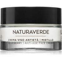 Naturaverde Upcycling Blueberry aufhellende Anti-Aging Tagescreme 50 ml