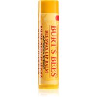 Burt’s Bees Lip Care Lippenbalsam mit Bienenwachs (with Vitamin E & Peppermint) 4.25 g