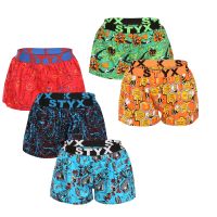 5PACK női bő szárú boxeralsó Styx art sportos gumipánt többszínű (5T1367834) XXL