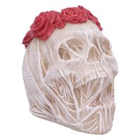 Dekoration The Veil