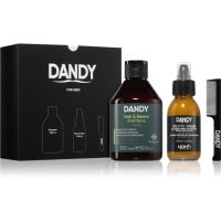 DANDY Beard gift box Geschenkset (für den Bart)