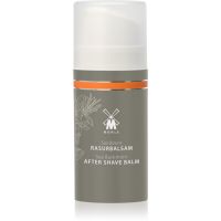 Mühle Aftershave Balm βάλσαμο για μετά το ξύρισμα για άντρες Sea Buckthorn 100 ml