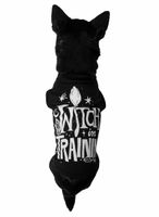 Kaput za psa KILLSTAR - Witch In Training - Crno M