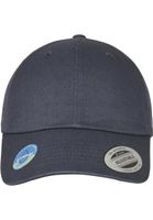 Ecowash Dad Grey Cap