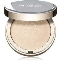 AA Wings of Color Glass Highlighter Baked Highlighter Farbton 01 8 g