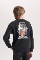 DEFACTO Boy's Crew Neck Back Printed Thick Sweatshirt