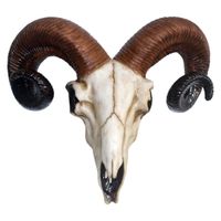 Dekoration Rams Skull Medium