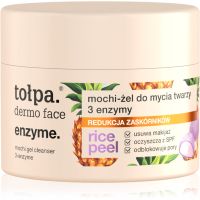Tołpa Dermo Face Enzyme очищуючий гель 110 мл