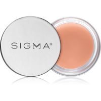 Sigma Beauty Hydro Melt Lip Mask vlažilna maska za ustnice s hialuronsko kislino odtenek Hush 9,6 g