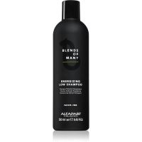 Alfaparf Milano Blends of Many Energizing szampon energetyzujący do włosów cienkich i delikatnych 250 ml