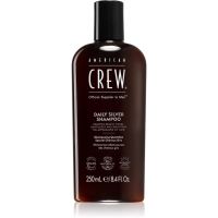 American Crew Daily Silver Shampoo Shampoo für weiße und graue Haare 250 ml