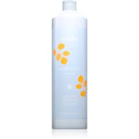 Echosline Hydrating Shampoo hidratantni šampon za suhu i neposlušnu kosu 1000 ml