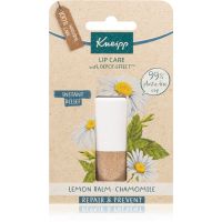 Kneipp Repair & Prevent balzam za ustnice Lemon Balm & Chamomile 4,7 g