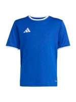 ADIDAS PERFORMANCE Tehnička sportska majica 'ENT26'  kraljevsko plava / bijela