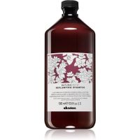 Davines Naturaltech Replumping Conditioner vlažilni šampon 1000 ml