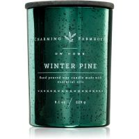 DW Home Charming Farmhouse Winter Pine vonná sviečka 230 g