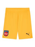 PUMA Sportske hlače  miks boja / narančasta