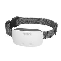 Reedog No Bark Premium ugatásgátló nyakörv - fehér