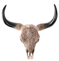 Ukras zid Prvi Nation - NENOW