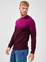 GAP Pullover Rot