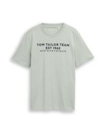 TOM TAILOR Majica  kameno siva / crna
