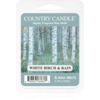 Country Candle White Birch & Rain vosek za aroma lučko 64 g