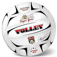 Míč volejbalový Champions 21 cm